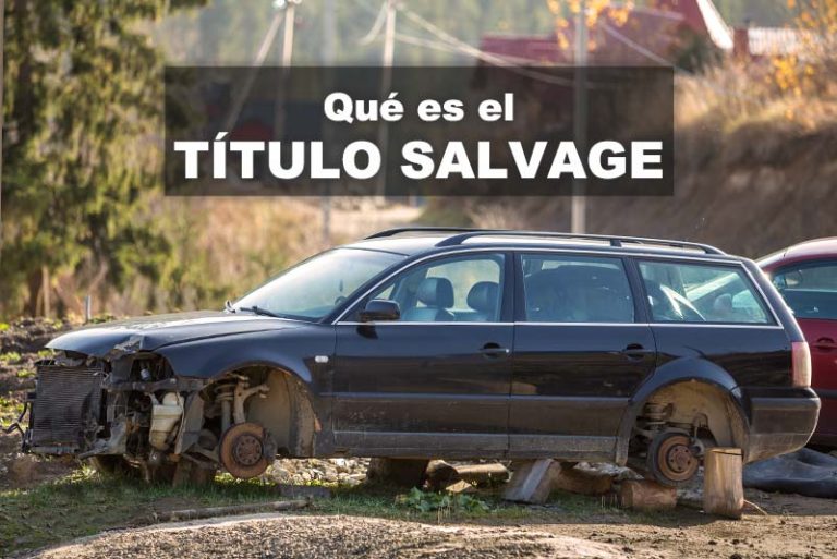 Salvage Que Es